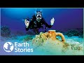 Diving Into India's Ancient Underwater Civilization | Underworld | Earth Stories