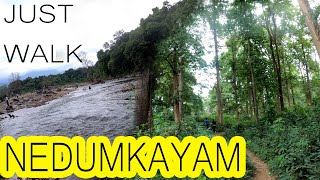 4K UHD / Magical Nilambur / Forest / Relaxation Video with Ambient Sounds / Nedumkayam Part 1