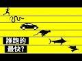 世界上最快的動物是誰？