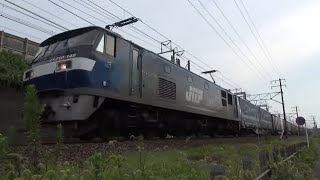 5051レ JR貨物 ECО PОWER桃太郎 EF210-149号機 吹田機関区所属 牽引貨物列車 東海道本線 静岡貨物駅 草薙駅間通過