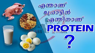 എന്താണ് പ്രോട്ടീൻ? പ്രോട്ടീൻ അളവ് എങ്ങനെ ക്രമീകരിക്കാം|What is protein?How to adjust protein intake.