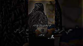 ابيات شعر عن الصديق الكفو