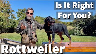 Rottweiler | Is It Right For You?