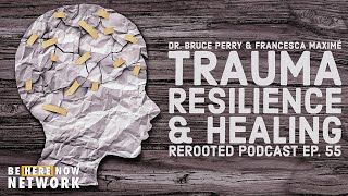 Francesca Maximé's ReRooted Podcast Ep. 55: Trauma, Resilience, & Healing w/ Dr. Bruce Perry (Pt. 2)