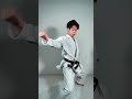 Heian Sandan Bunkai/Application For Self Defense!