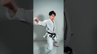 Heian Sandan Bunkai/Application For Self Defense!