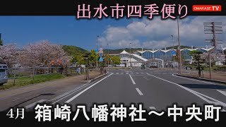 箱崎八幡神社  出水駅　ドラモリ　出水市　中央町　米ノ津川　鹿児島　おまかせテレビ2023年　4月3日