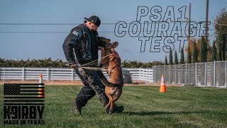 PSA Courage Test