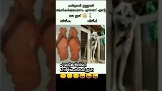 എല്ലാവരും ഈ കലാകാരനെ ഒന്ന് സപ്പോർട്ട് ചെയ്യണേ🙏🙏 😂😂😜😜 #shortsvideo #funny #youtubeshorts