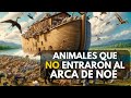 Animales que no subieron al Arca de Noe #curiosidades #animales #animalesincreibles