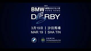 [2023 香港打吡大賽] 獲選參賽馬匹名單  [Hong Kong Derby 2023] Selected Runners   **SOURCE OF FILM/INFORATION : HKJC