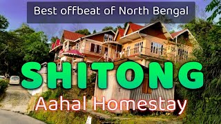 Sittong | Aahal Homestay | Sittong Tour Guide | Orange Garden | North Bengal Offbeat Destination |