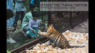 Открытие парка тигров в Подмосковном сафари-парке