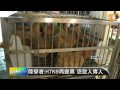 【2013.04.28】陸學者：h7n9再變異 恐致人傳人 udn tv