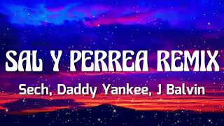 Sech, Daddy Yankee, J Balvin - Sal y Perrea Remix [letra lyrics]
