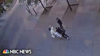 Video shows alleged attack on Arizona State University professor