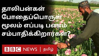 Afghanistan-ல் Drugs உற்பத்தி எவ்வளவு? Talibans போதை பொருள் கடத்தல் குறித்து சொல்வது என்ன? | Opium