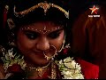 full story ishti kutum episode 556 part b