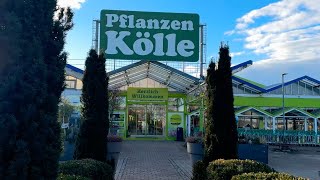 Садовый центр @Pflanzen-Kölle Munchen