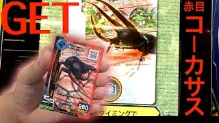 赤目 コーカサスオオカブトをGET!! マスターブラック戦　新ムシキング