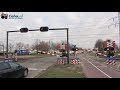 spoorwegovergang blerick 😍4k😍 dutch railroad crossing