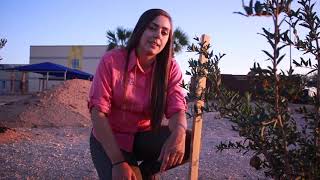 Junior master gardener- Plant processes
