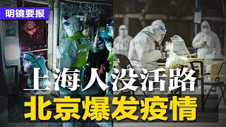 病毒包围中南海，北京封控，抢购来不及了！上海政府丧心病狂，铁网封死楼门，硬隔离堵人生路，加薪翻倍无人愿往上海，国际物流断供；传张维为遭胖揍，中国网民乐翻；海航重整结束 | 明镜要报（20220425）