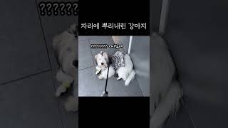 응 안가~