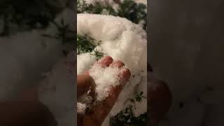 Snow storm 2020 in USA | winter storm | #shorts