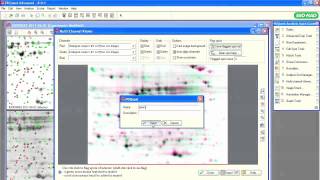PDQuest™ Software Tutorials - Creating Analysis Sets