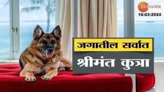 World's Richest Dog | हा आहे जगातील सर्वात श्रीमंत कुत्रा, संपत्ती पाहून थक्क व्हाल, पाहा रिपोर्ट