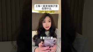 土象一直单身脑子里在想什么 金牛座 土象星座 土象三憋 摩羯座 处女座