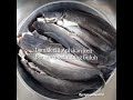 Lemak Cili Api Ikan Keli bersama Belimbing Buluh by lynnmikael08