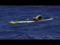 molokai 2 oahu paddleboard world championships 2017 winners highlights