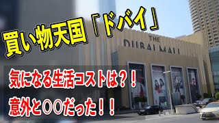 【大人気　ドバイ海外移住先】世界最大級「ドバイモール」の高級スーパー「売ってる物と値段」が予想外で驚いた！！＜海外移住大学＞