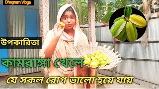 কামরাঙ্গার উপকারিতা ও যাদের জন্য কামরাঙ্গা খাওয়া নিষেধ || Kamranga