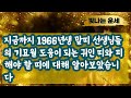 2025년 3월 운세 말띠운세66년생🙏기묘월 귀인띠 3가지 ⭐1966년생 말띠와 궁합이 잘 맞는 띠☺피해야할 띠 3가지 을사년운세 말띠 운세 말띠궁합 말띠귀인운 말년운