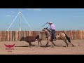 Trevor Brazile and Miles Baker Heel on Dagger