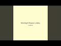 Moonlight Breeze Lullaby