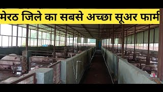 HOW TO START PIG  FARMING INDIA | Pig Farm Structure | Suar Palan kaise karen | Pig Farm Design