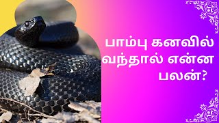 உங்கள் கனவில் பாம்பை பார்த்தால் என்ன பலன்? | pambu kanavu palan in tamil