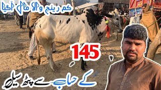 3 bilo ka soda 145k mae mandra mandi latest update ll domail mandi ll Part 3 ll jamil tv ll