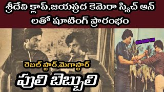 Rebelstar and Megastar Combination Puli Bebbuli Movie | Interesting facts |