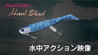 ブリブリ波動でアピール強め！【ビーチウォーカーハウルシャッド】～水中アクション～