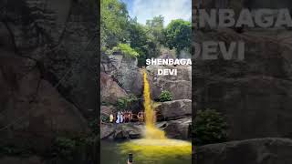 #tenkasi #flash #shots #trending #flashnews குற்றாலம் செண்பகாதேவி அருவி சித்ரா பௌர்ணமி அன்று சிறப்பு