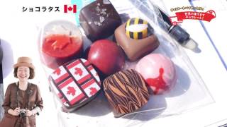 幸福のチョコレート【ショコラタス】缶の中にOh! Canada! 見ても食べても、心が躍る！