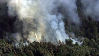 Residents Flee as Wildfire Expands in Santa Cruz Mountains