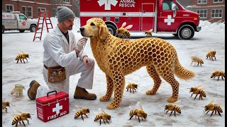 A brave man saves a golden retriever from millions of parasites covering its body!