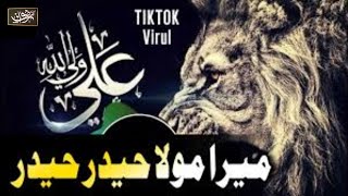 Mera Mola Haider Haider | TikTok Viral |AliHaqAli | Hafiz Rizwan Ghuman | Full Manqabat 2022