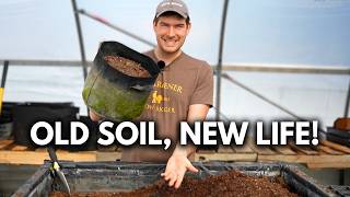 Never Throw Out Old Potting Soil Again - Refresh and Reuse it to Save TONS of Money!